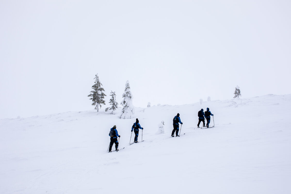 Brand activations & launches